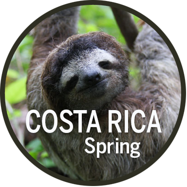 Costa Rica Spring Break link
